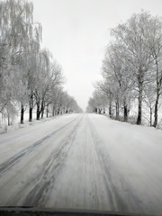 Obraz premium Winter road running between the frozen trees.