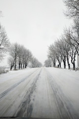 Winter road running between the frozen trees.