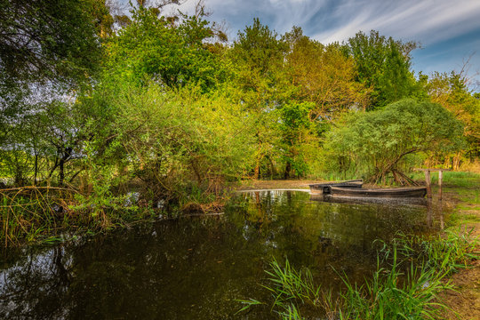 Loire-Atlantique (44), lac de grand lieu, Tr&eacute;jet, Deux barques de p&ecirc;cheurs attach&eacute;es &agrave; un arbre dans les marais de Tr&eacute;jet