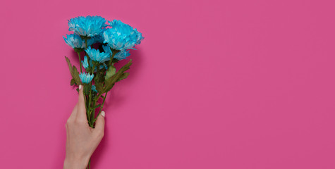 Blue flowers and woman holding hand isolated on pink background. Woman and mother day. Summer concept mock up and copy space. Top view. Flower nature and spring season. Banner