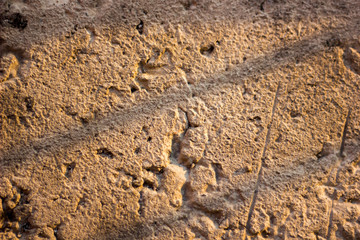 Concrete Wall Texture Background. An Old Wall Texture.Texture Background. Cement Texture.