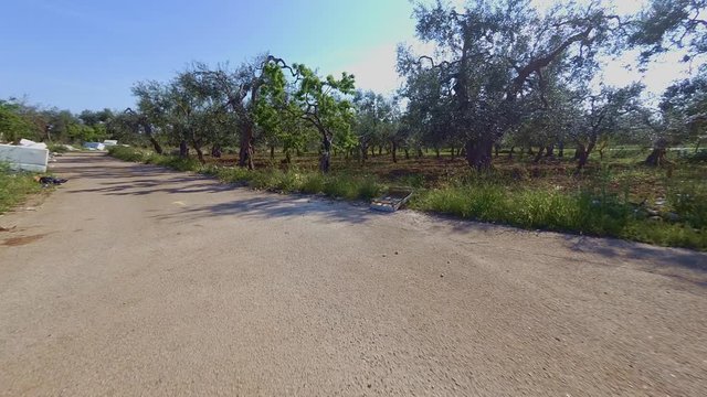 Timelapse driving in a country road in Puglia. Waste left on the roadside