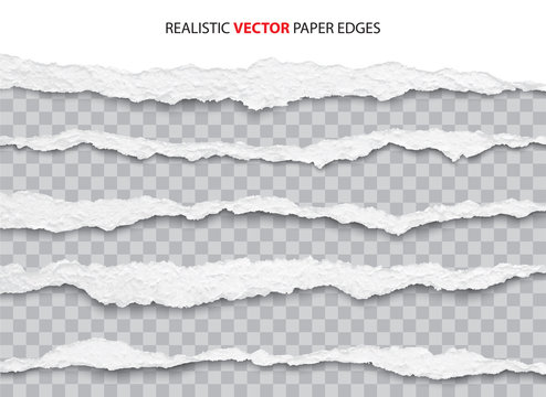 realistic torn paper edges vector