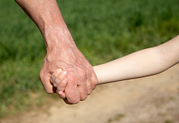 Male hand holding a baby hand on the background of green nature, close-up