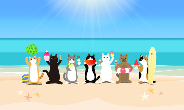 真夏のビーチリゾートを楽しむ　並ぶ猫たち
