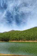 lake in deep forest