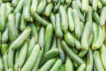 Cucumbers sold at shuk hacarmel market, Tel Aviv, Israel