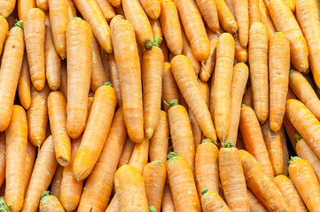 Carrots sold at shuk hacarmel market, Tel Aviv, Israel