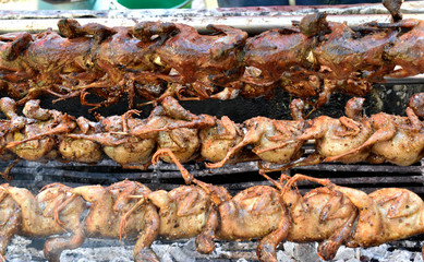 Many quail grilled on the grill
