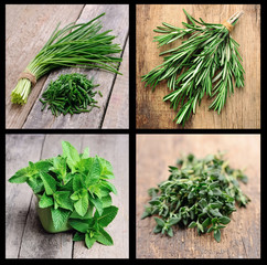 Collection of green herbal.