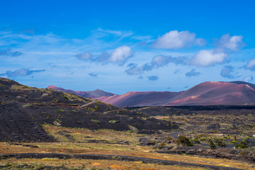 Obraz premium Spain, Lanzarote, Volcanic nature landscape of black and red volcano mountains and green fields