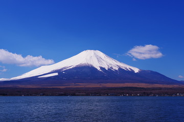 Fototapeta premium 山中湖から望む富士山