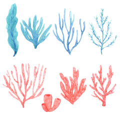 Set of bright watercolor seaweeds and corals