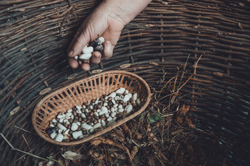 White beans on a dark background in a wooden wicker basket.