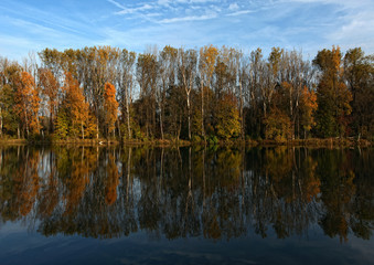 Fototapeta premium Herbstliche Spiegelung am Lech bei Meitingen
