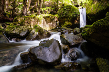 Creek with Waterfall and mighty rocks in the middle of green forest, Tasmania, Australia