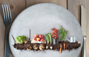 Organic plant based concept