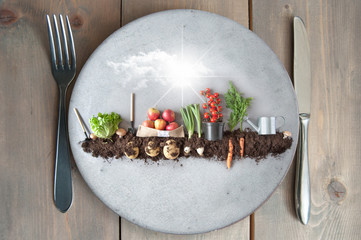 Organic food garden concept