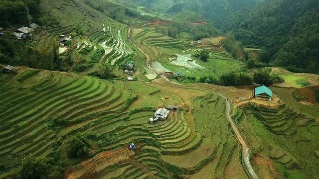 Flight over green rice terraced carcade plantations slopes. Tourists people go trekking country road canyon village harvest. Authentic culture natural landscape Asia Vietnam Sapa Capa. Aerial top
