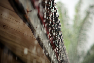 Rain drop from the roof.