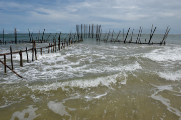 Wooden pole for stretch net fish trap from the beach into the sea