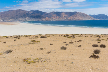 Pan de Azucar National Park, Chile