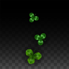 Vector Clover Leaf  Isolated on Transparent Background with Space for Text. St. Patrick's Day Illustration. Ireland's Lucky Shamrock Poster. Invintation for Concert in Pub. Top View. Success Symbols.