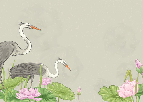Illustration / background with cranes and lotuses