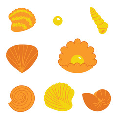 shells symbols collection. seashells set, icon 