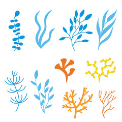 Fototapeta na wymiar algae and corals set of silhouettes