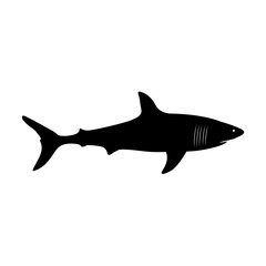 Shark icon, logo isolated on white