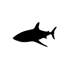 Shark icon, logo isolated on white