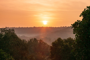 Palms in Goa at sunset