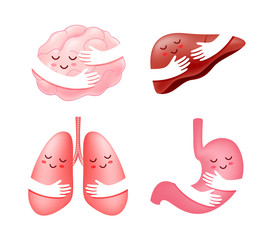 Set of human internal organs with hand embrace. Brain, liver, lung and stomach cartoon character. icon design. Health care concept. Illustration isolated on white background.