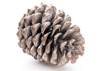 Christmas pine cone on white background.