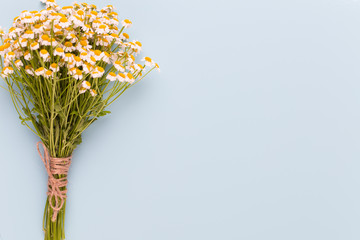 Chamomile aromatherapy theme , handmade cosmetic. space for textessential  and medical flowers herbs