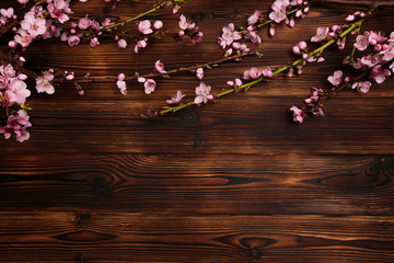 Peach blossom on old wooden background. Fruit flowers.