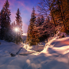 Fantastic winter forest landscape in the sunset. Icy snowy fir trees glowin in sunlight. winter holiday concept. travel day. wonderland in winter. background in postcard. creative artistic image