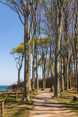 Wanderweg an der Ostsee, Fahrradweg