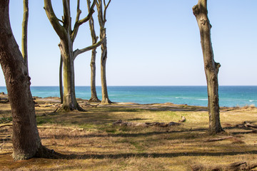 Küste an der Ostsee, menschenleer