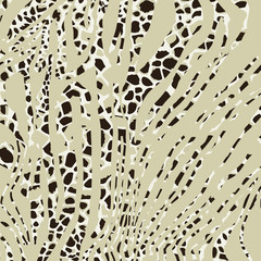 Animal print, leopard texture background