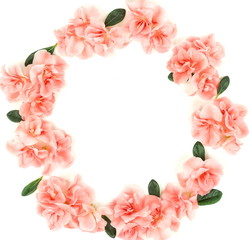 Wreath Flowers composition background . Pink flowers azalea pattern frame on white background. Top view. Copy space. Holiday concept