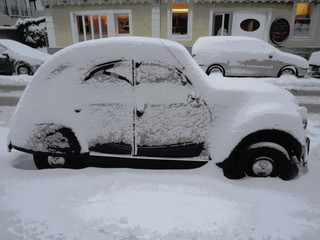 Winter-Ente