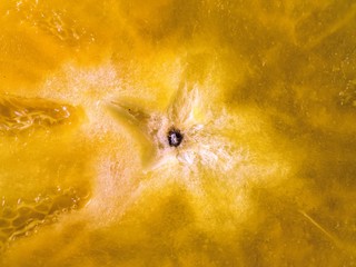 abstract background of a yellow paprika