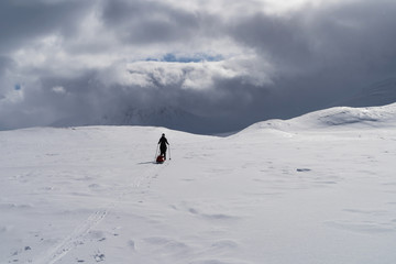 Cross country skier with sled (pulka) in dramatic weather in national park Sarek. Lapland,, snowfall Sweden.