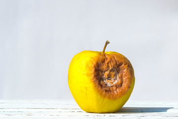 Rotten yellow apple closeup.