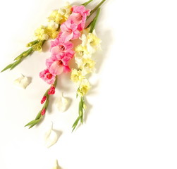 Flowers border frame made of pink and yellow  gladioluses on white background. Pattern of gladioli,  holiday greeting card.  Flat lay, top view. Flowers background. Frame of flowers. Copy space