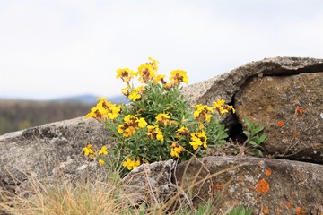 Village de Polignac en Haute Loire - Auvergne - Forteresse