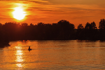 Fototapeta premium Bright and colorful sunset on the river. The sun hides behind the trees in the evening. Glare of the setting sun on the water.