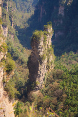 Zhangjiajie National Park,Hunan province. China. Avatar mountains